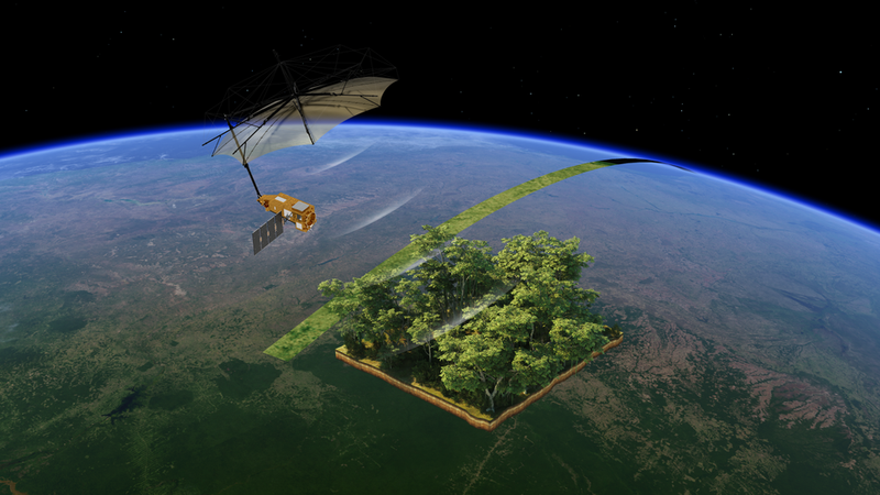 Biomass — Biomass (satellite)